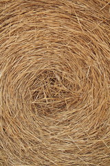 Strohballen im Hochformat