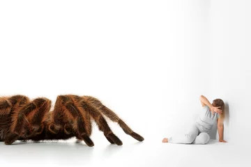 Fotobehang Spinnenangst - Arachnophobie © fovito