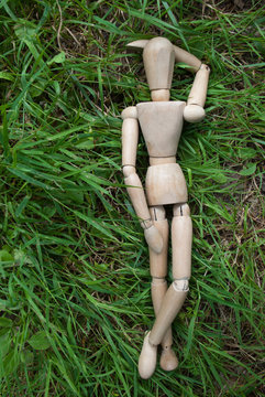 Im Gras liegen h.