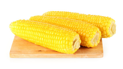 boiled corn isolated on white