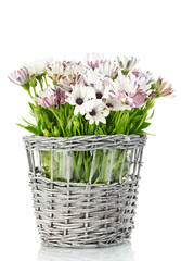 bouquet of beautiful summer flowers in wicker vase, isolated
