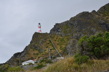 light house © mikael74