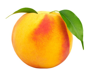 Ripe peach with leaves isolated on a white background.