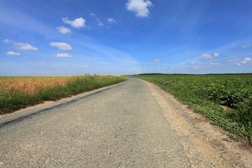 road in the country in summer under the sun