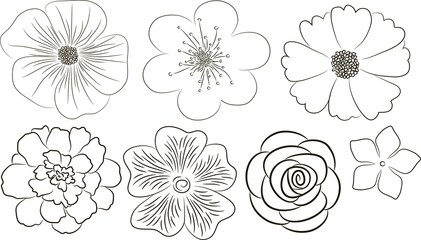 Flowers collection. Elements for design.