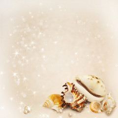 card with shells