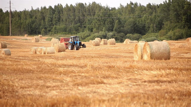 harvester. tractor makes bales of straw