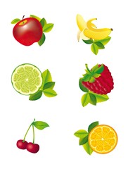 fruits vector