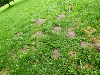 mehrere Maulwurfhaufen