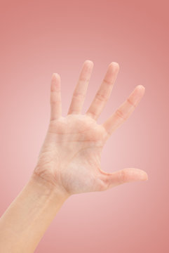 Open woman hand or number five