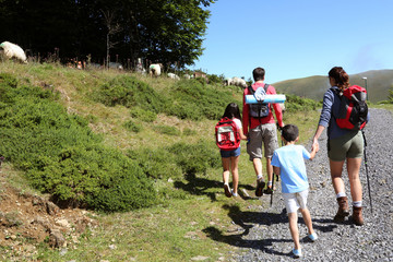 Family watching sheeps in the mountain while trekking