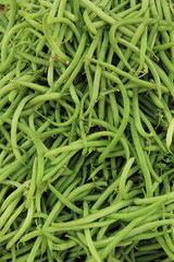 grüne Bohnen im Hochformat