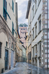 Torre Guinigi within the city walls of Lucca, Italy.