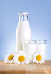 Obraz na płótnie Canvas Bottle, two glass of fresh milk and three chamomile flower is wo