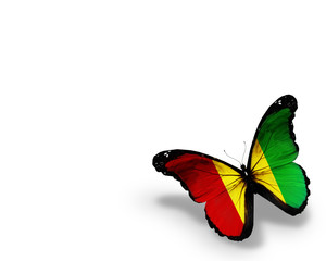 Guinean flag butterfly, isolated on white background