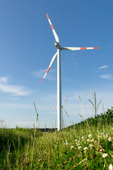 Fototapeta premium Windkraftanlage