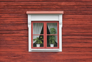 Cute Window on Red Wall - 43698589