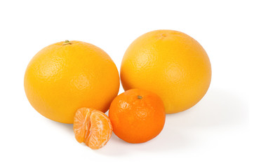 Fresh citrus fruit on a white background