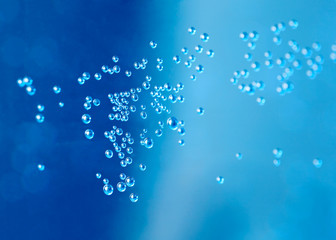 Bubbles on blue
