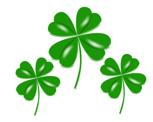 四つ葉のクローバー