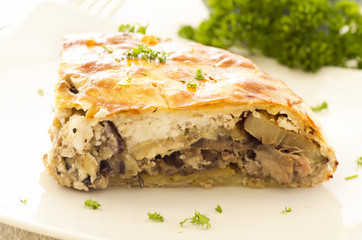Börek mit Hähnchen und auberginen