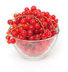 bowl with red currants