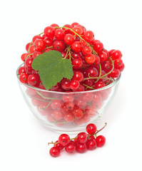 bowl with red currants