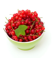 bowl with red currants