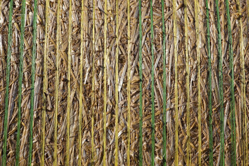 straw bale close up