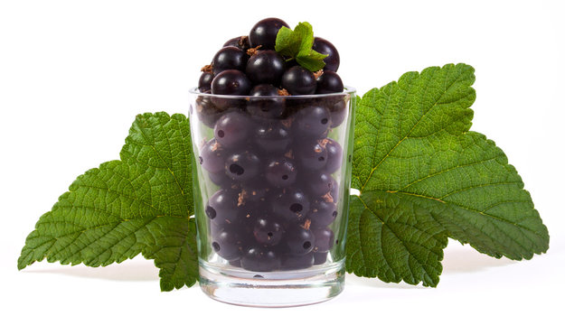 a glass of blackcurrant