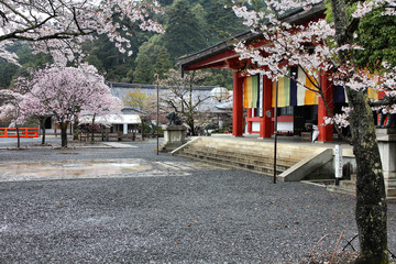 Kurama Temple, Japan