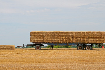 Stacks of hay on a trailer in a field