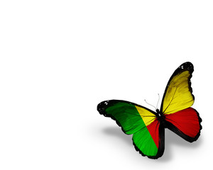 Benin flag butterfly, isolated on white background