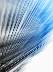 Obraz premium Abstract Background with copyspace