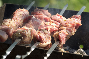 Fresh kebab