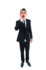 Obraz premium Isolated business man