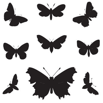 High resolution conceptual group of black shapes of butterfly