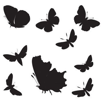 High resolution conceptual group of black shapes of butterfly