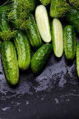 Raw Cucumbers and Fennel