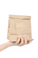 Hand holding recycle brown paper bag, Concept