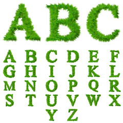 High resolution conceptual grass fonts set