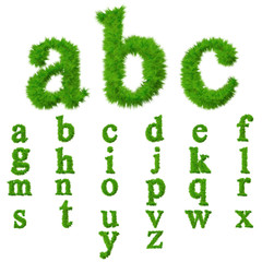 High resolution conceptual grass fonts set