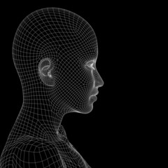 High resolution 3D wireframe human female head isolated