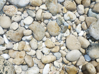 beach rocks