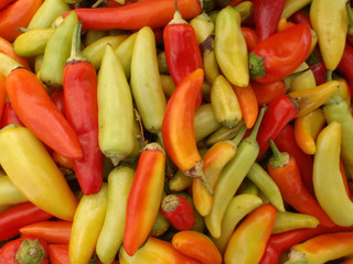 Hot Peppers of a varity of colors
