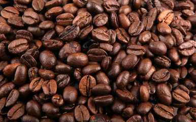Coffee Beans.