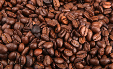 Coffee Beans.