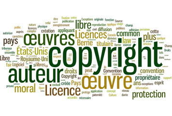 Copyright (français)
