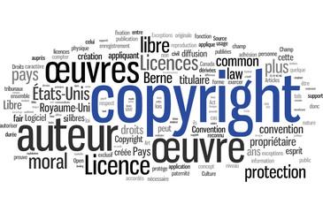 Copyright (français)