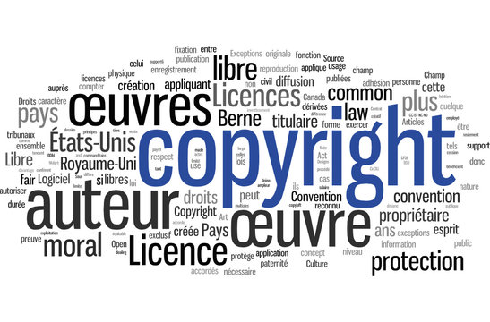 Copyright (français)